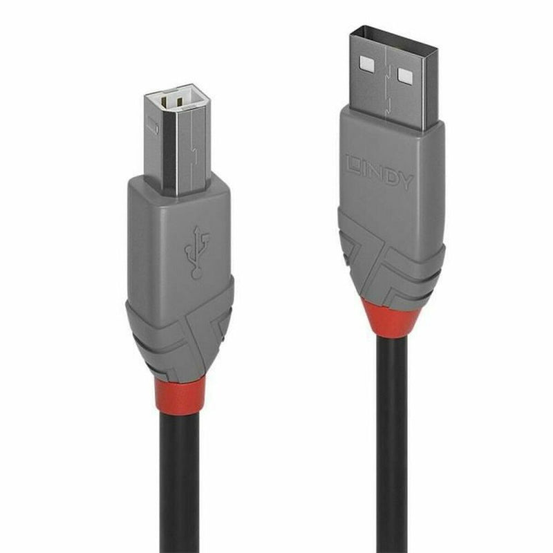 USB A to USB B Cable LINDY 36672 Black 1 m
