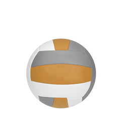 Volleybal