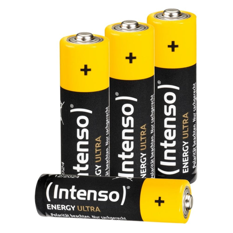 Batterijen INTENSO 7501424