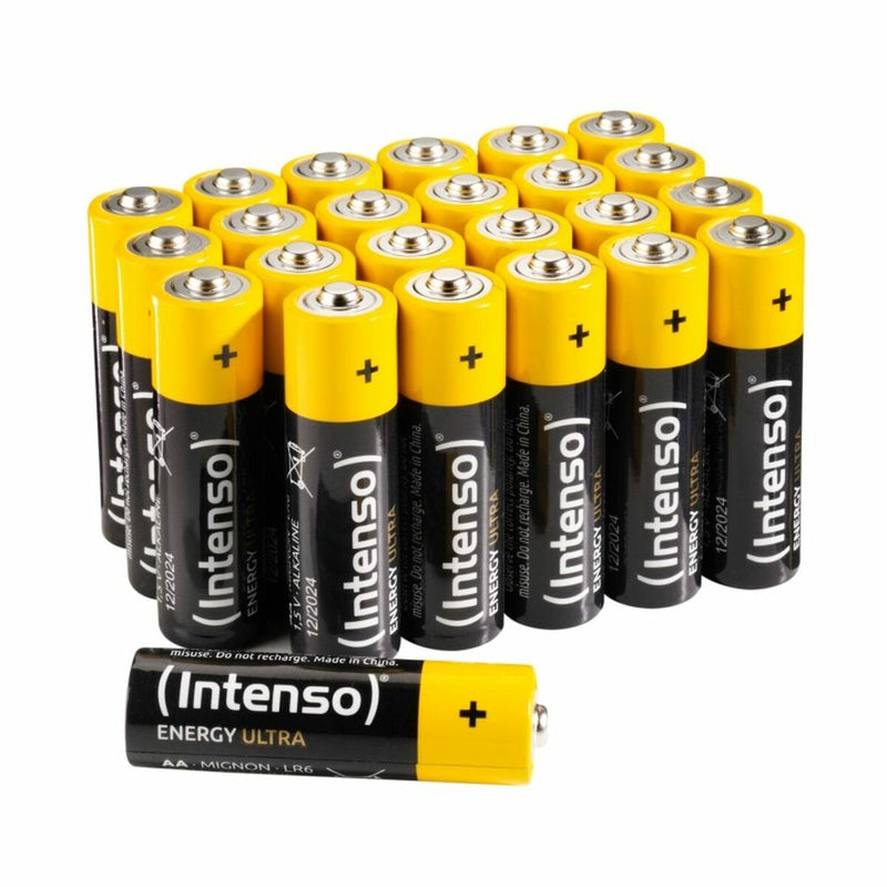Batterijen INTENSO 7501824