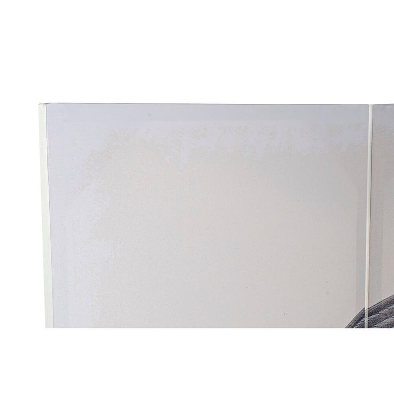 Folding screen DKD Home Decor Canvas Pinewood (120 x 2,5 x 180 cm)