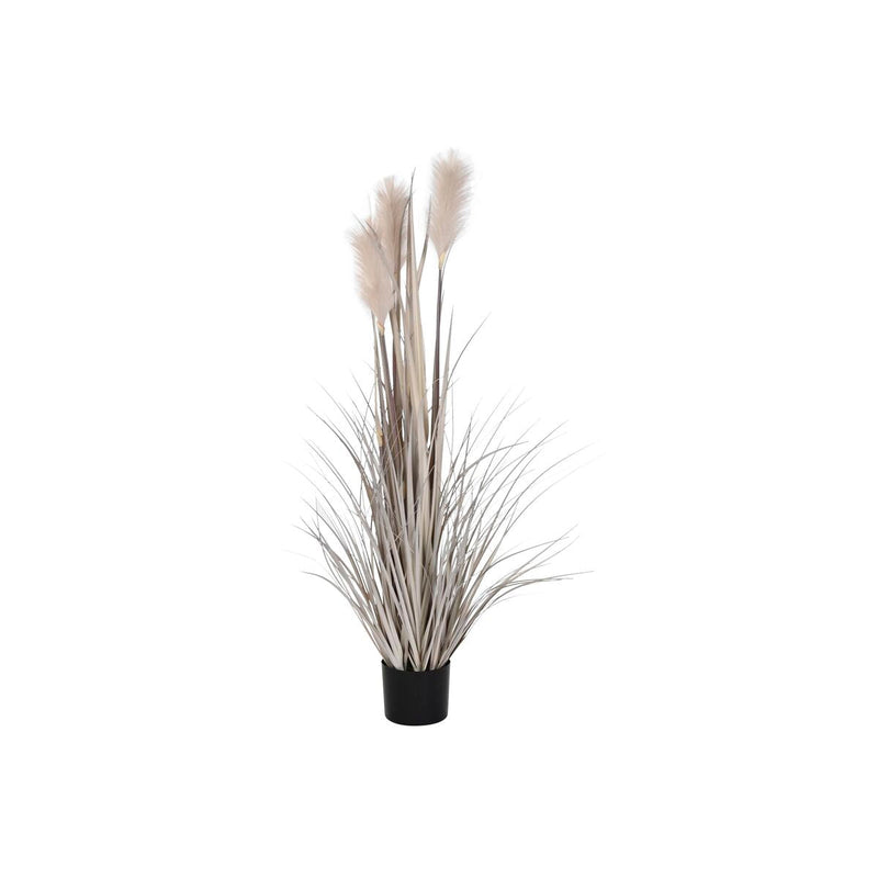 Decorative Plant DKD Home Decor Brush (35 x 35 x 120 cm)