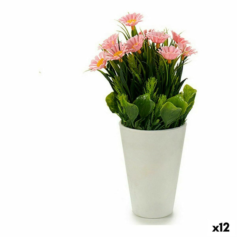 Decorative Plant Marguerite Plastic (12 x 21 x 12 cm) (12 Units)