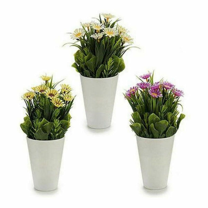 Decorative Plant Marguerite Plastic (12 x 21 x 12 cm) (12 Units)