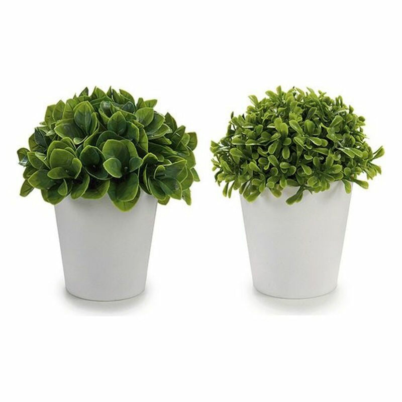 Decorative Plant ‎S3605248 White Green Plastic (13 x 17 x 13 cm) (13 x 15 x 13 cm)